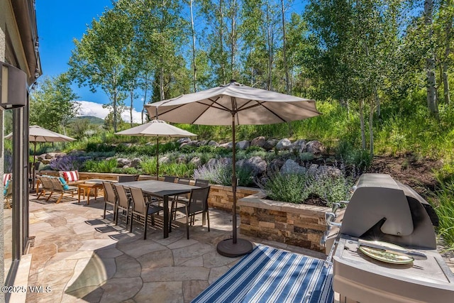 225 Eagle Crest Rd, Edwards, CO 81632 - view of patio / terrace with outdoor dining area and a grill