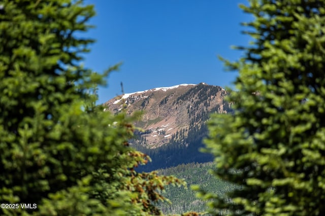 5074 Main Gore Dr S Unit B, Vail, CO 81657 - mountain view