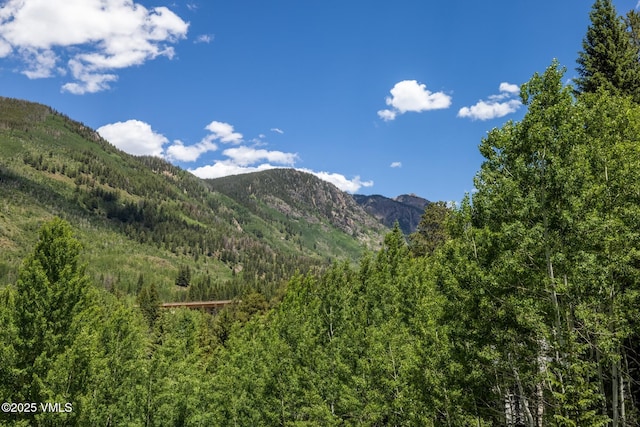 5074 Main Gore Dr S Unit B, Vail, CO 81657 - view of mountain backdrop featuring a heavily wooded area