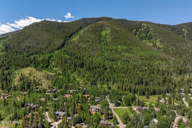 5074 Main Gore Dr S Unit B, Vail, CO 81657 - mountain view featuring a heavily wooded area