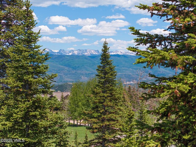 782 Granite Springs Trl, Edwards, CO 81632