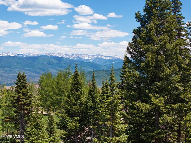 782 Granite Springs Trl, Edwards, CO 81632