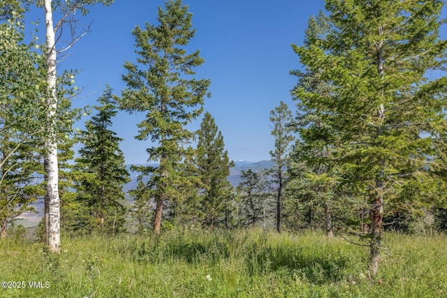 713 Webb Peak, Edwards, CO 81632 - photo 25