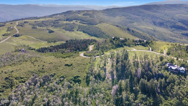 713 Webb Peak, Edwards, CO 81632 - photo 7