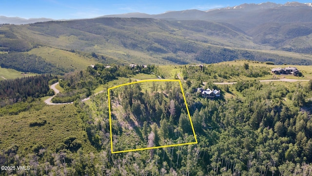 713 Webb Peak, Edwards, CO 81632 - photo 6