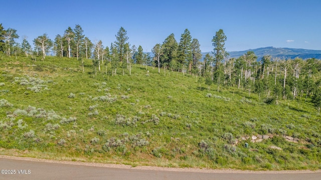 713 Webb Peak, Edwards, CO 81632 - photo 16
