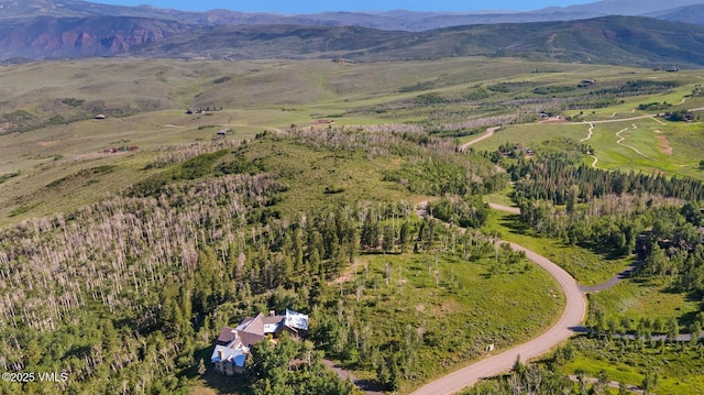 713 Webb Peak, Edwards, CO 81632 - photo 10