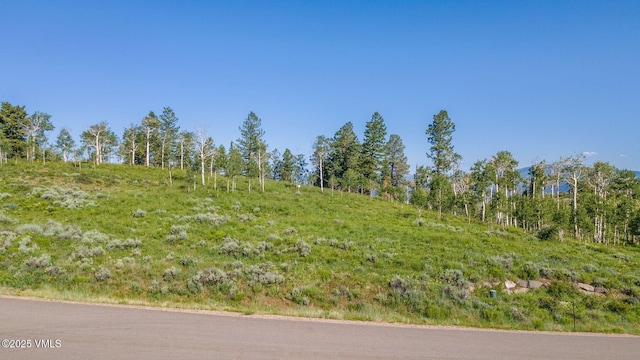 713 Webb Peak, Edwards, CO 81632 - photo 17