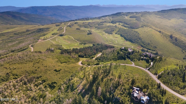 713 Webb Peak, Edwards, CO 81632 - photo 8