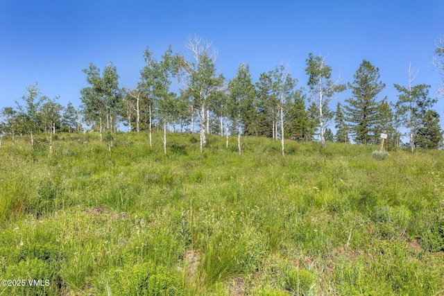 713 Webb Peak, Edwards, CO 81632 - photo 21