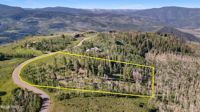 713 Webb Peak, Edwards, CO 81632 - photo 4