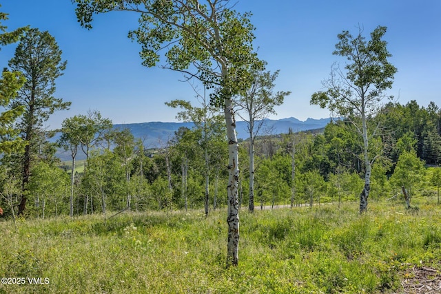 713 Webb Peak, Edwards, CO 81632 - photo 24