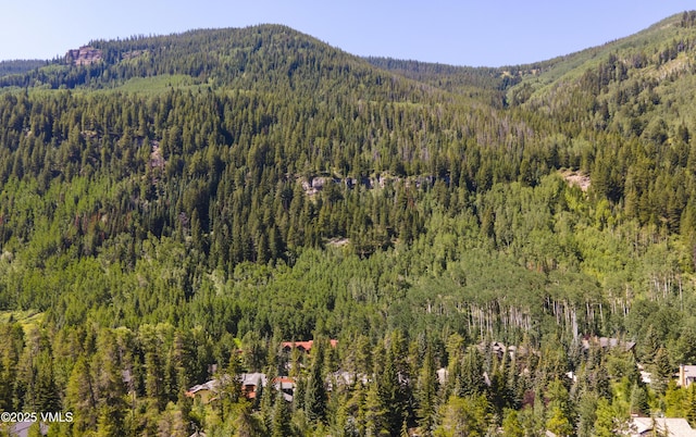 4030 Bighorn Rd Lot 1-B, Vail, CO 81657 - mountain view with a forest