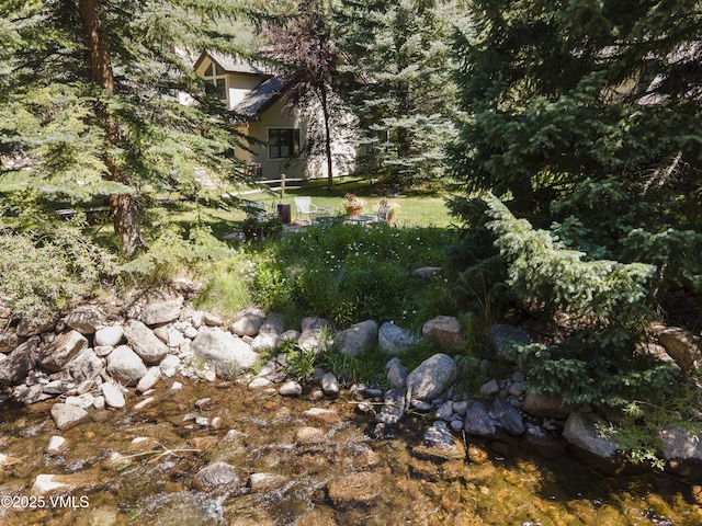 4030 Bighorn Rd Lot 1-B, Vail, CO 81657 - view of yard