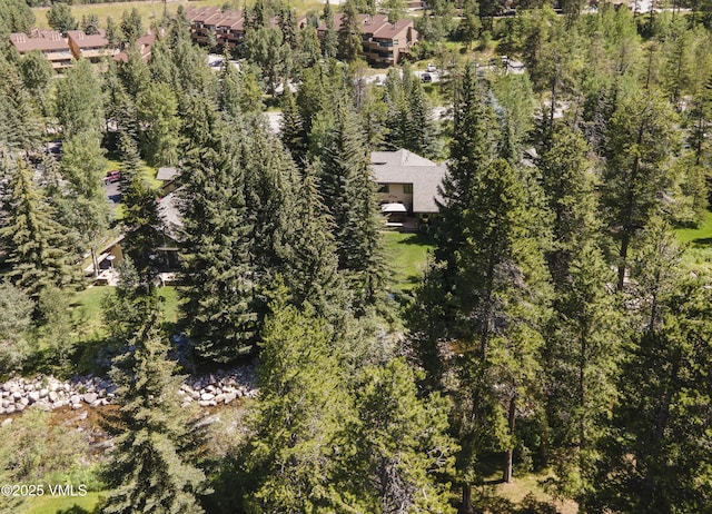 4030 Bighorn Rd Lot 1-B, Vail, CO 81657 - aerial view
