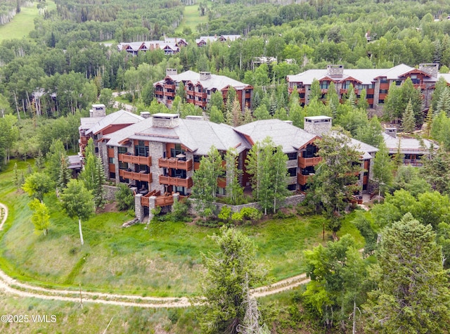 320 Hummingbird Dr Unit A201, Avon, CO 81620 - drone / aerial view of a forest