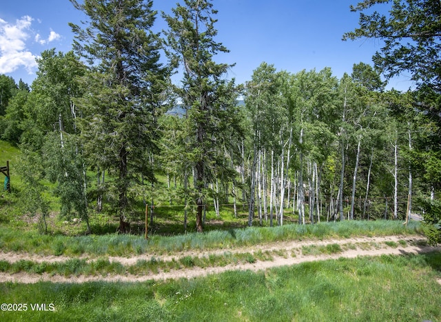 320 Hummingbird Dr Unit A201, Avon, CO 81620 - view of tree filled area