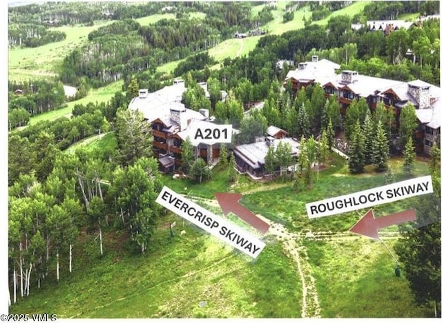 320 Hummingbird Dr Unit A201, Avon, CO 81620 - drone / aerial view