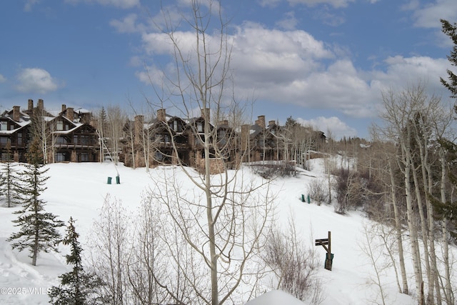 320 Hummingbird Dr Unit A201, Avon, CO 81620 - view of yard layered in snow
