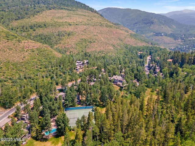 1616 Buffehr Creek Rd Unit B-17, Vail, CO 81657 - photo 24