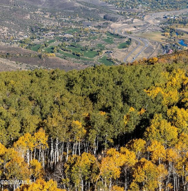 aerial view featuring a view of trees