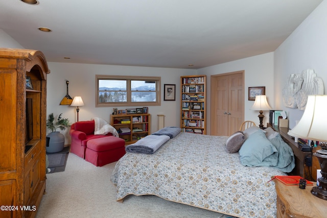 bedroom featuring a closet and carpet flooring