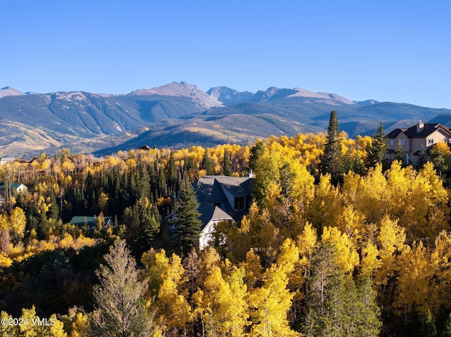 view of mountain feature with a forest view