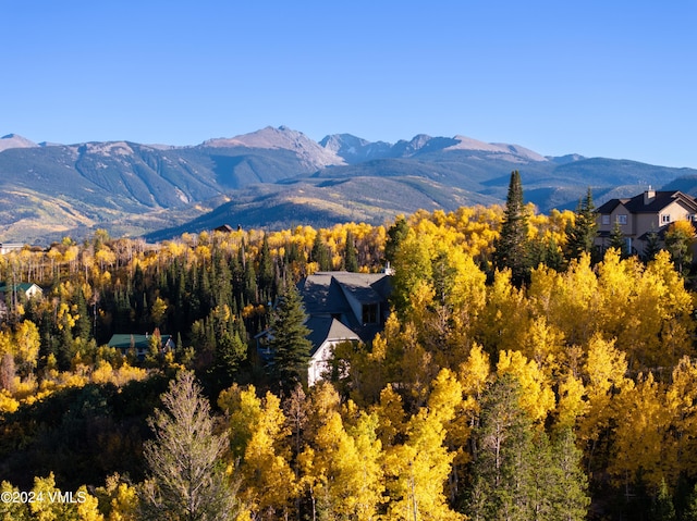 view of mountain feature with a forest view