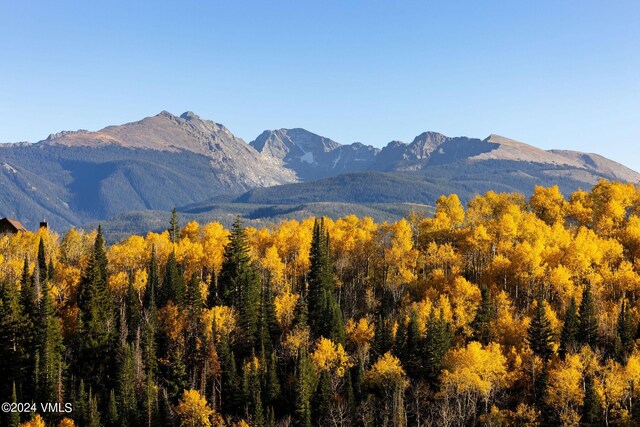 view of mountain feature with a forest view