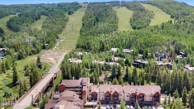 660 Lionshead Pl Unit 29, Vail, CO 81658 - aerial view of a forest