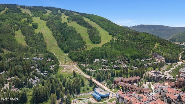 660 Lionshead Pl Unit 29, Vail, CO 81658 - aerial view of property and surrounding area featuring a mountainous background and a forest
