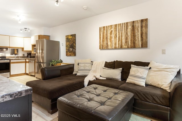 660 Lionshead Pl Unit 29, Vail, CO 81658 - living room featuring light wood-style floors and rail lighting