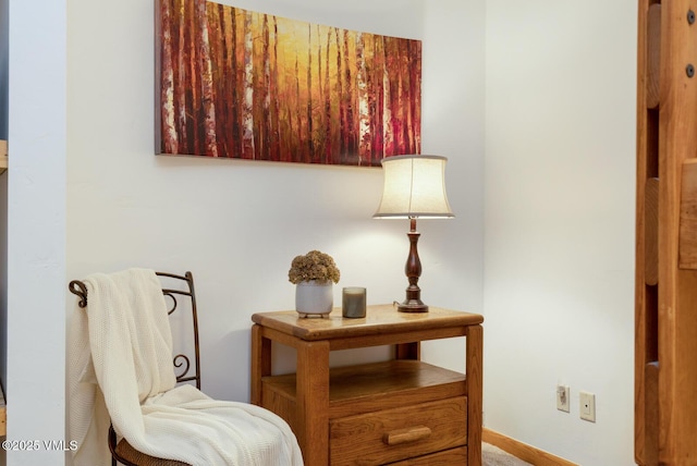 660 Lionshead Pl Unit 29, Vail, CO 81658 - sitting room with baseboards