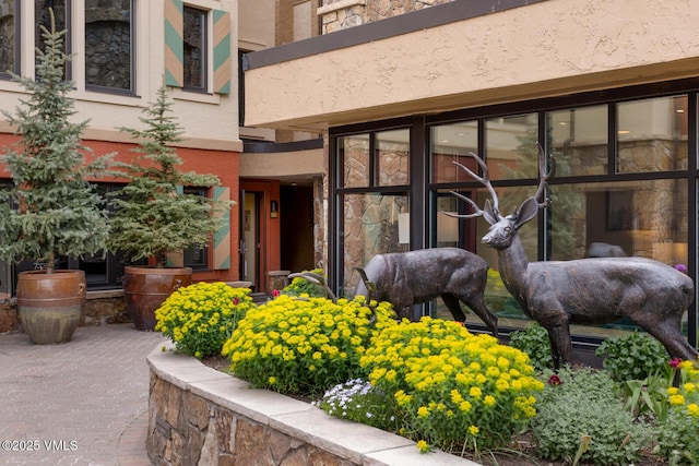 660 Lionshead Pl Unit 29, Vail, CO 81658 - doorway to property featuring stone siding and stucco siding