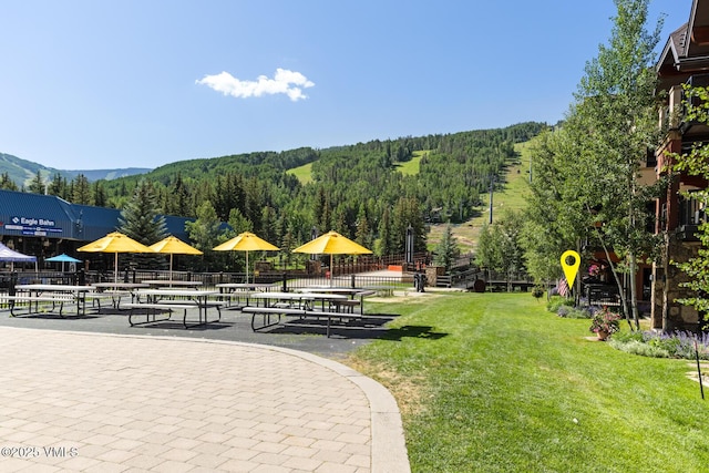 660 Lionshead Pl Unit 29, Vail, CO 81658 - view of home's community with a forest view and a yard