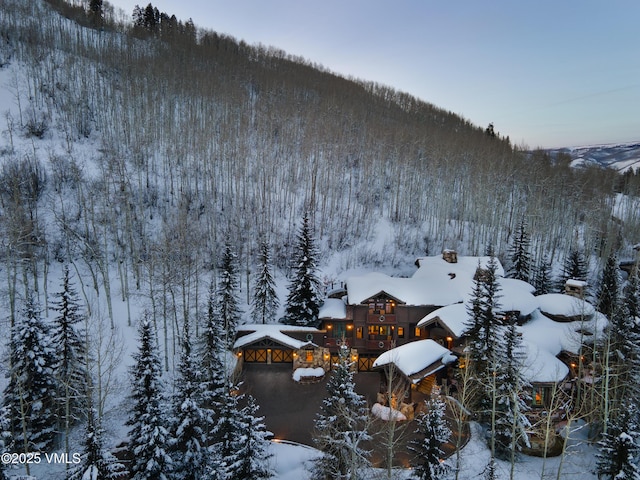 snowy aerial view with a view of trees