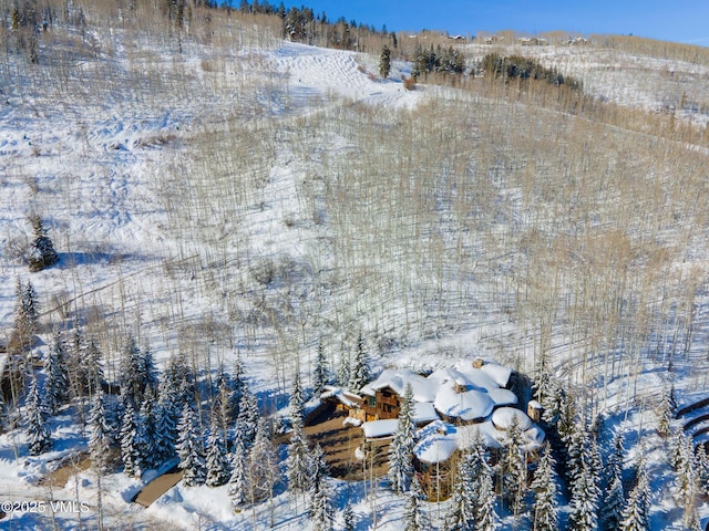 view of snowy aerial view