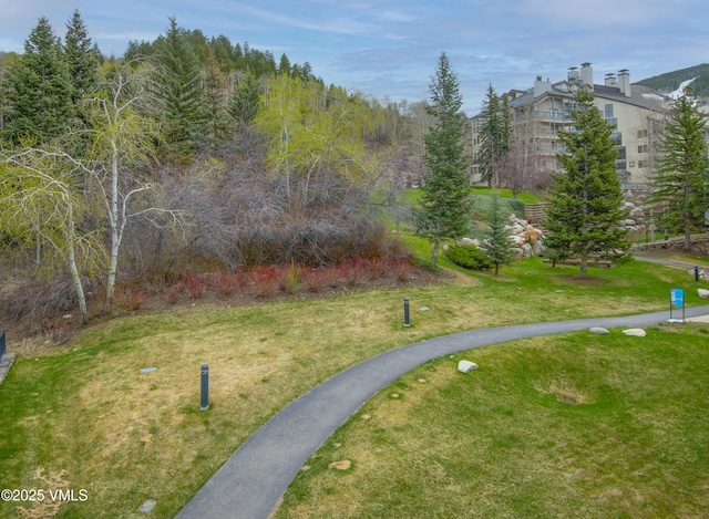 120 Offerson Rd Unit D330, Beaver Creek, CO 81620 - view of home's community with a lawn