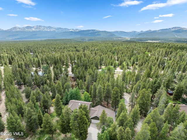 1816 W Gold Dr, Leadville, CO 80461 - photo 10