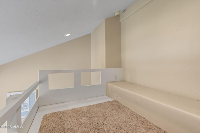 1816 W Gold Dr, Leadville, CO 80461 - photo 41