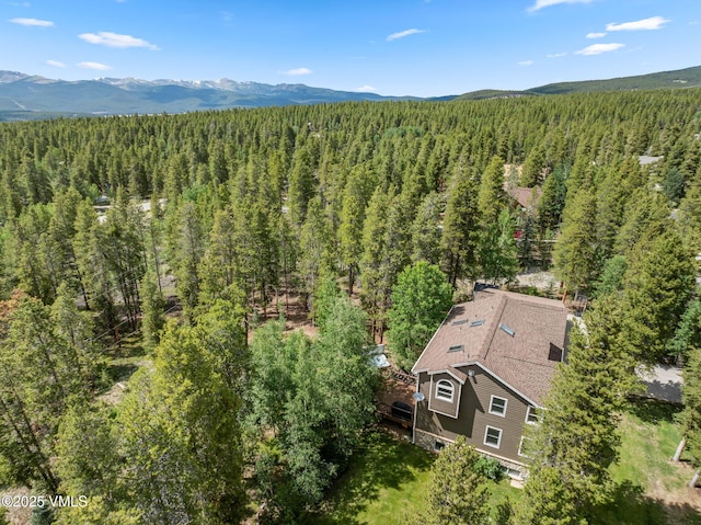 1816 W Gold Dr, Leadville, CO 80461 - photo 8