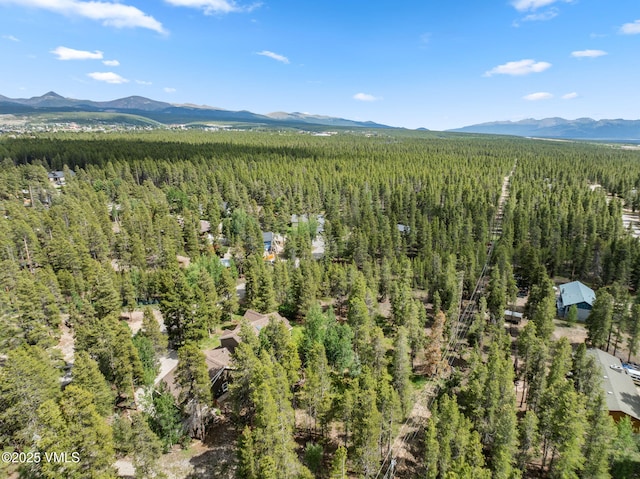 1816 W Gold Dr, Leadville, CO 80461 - photo 11