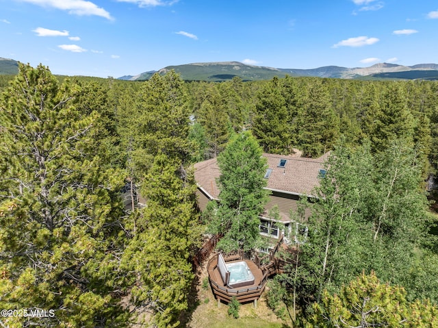1816 W Gold Dr, Leadville, CO 80461 - photo 7