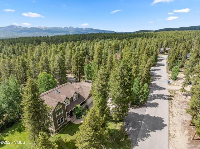 1816 W Gold Dr, Leadville, CO 80461 - photo 12