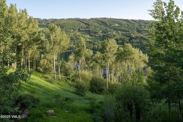 1094 Riva Gln, Vail, CO 81657 - mountain view with a heavily wooded area