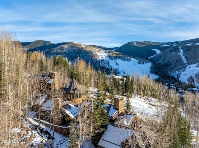 property view of mountains