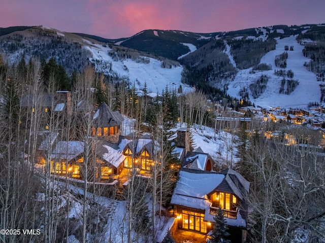 1094 Riva Gln, Vail, CO 81657 - view of mountain backdrop