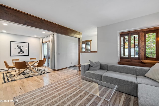 living room with a healthy amount of sunlight and hardwood / wood-style floors