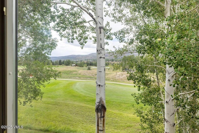 170 Wildflower Unit 12, Edwards, CO 81632 - view of community with a mountain view and a yard