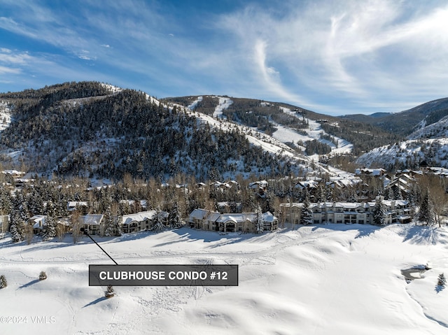 170 Wildflower Unit 12, Edwards, CO 81632 - mountain view